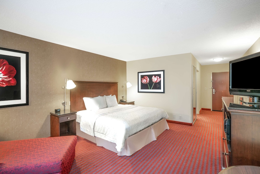 Classic Room, 1 King Bed, Accessible, Bathtub (Mobility/Hearing Accessible) - Photo 3