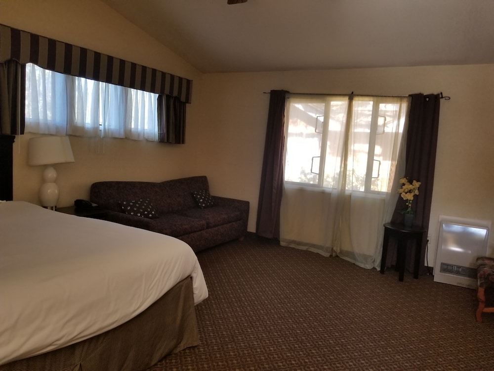 Studio, 1 King Bed, Accessible (King Studio ADA) - Photo 2