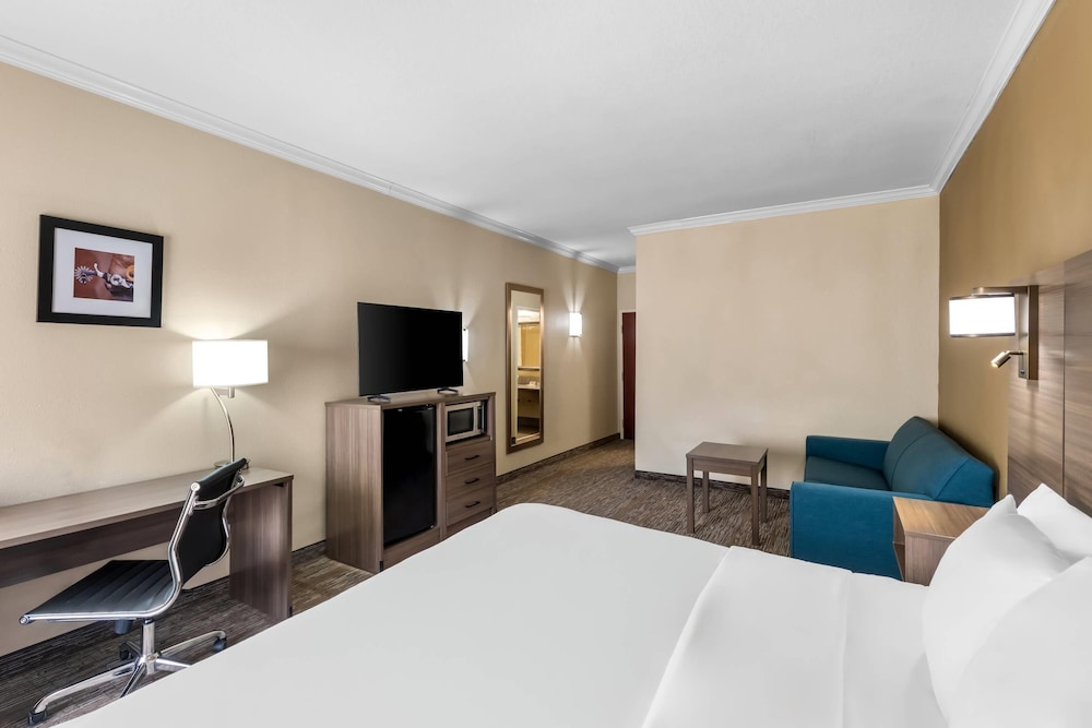 Suite, 1 King Bed with Sofa bed, Non Smoking (Upgrade) - Photo 3