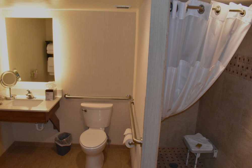 Room, 1 King Bed, Accessible (Mobility & Hearing, Roll-in Shower) photo 2