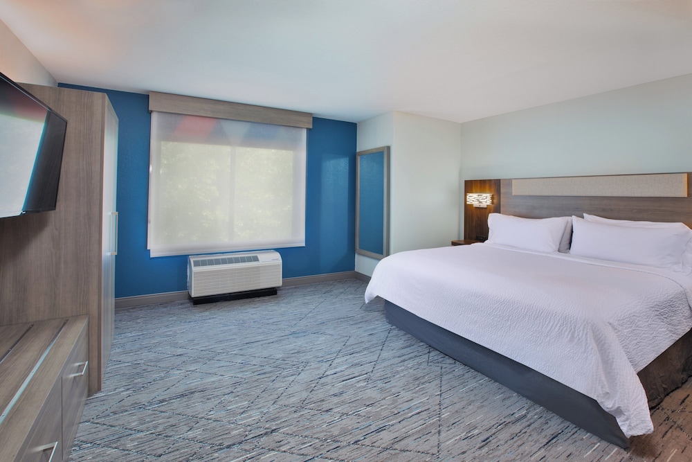 Suite, 1 King Bed - Photo 5