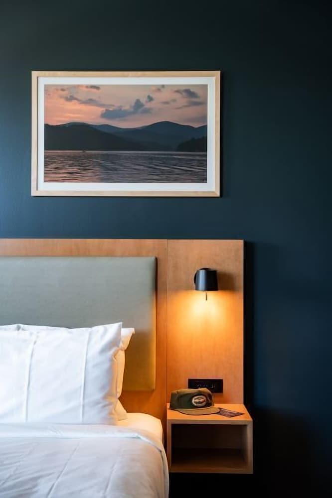 Standard Single Room, 1 King Bed