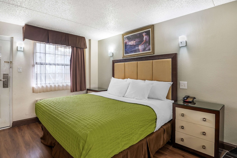 Standard Room, 1 King Bed, Non Smoking, Jetted Tub - Photo 4