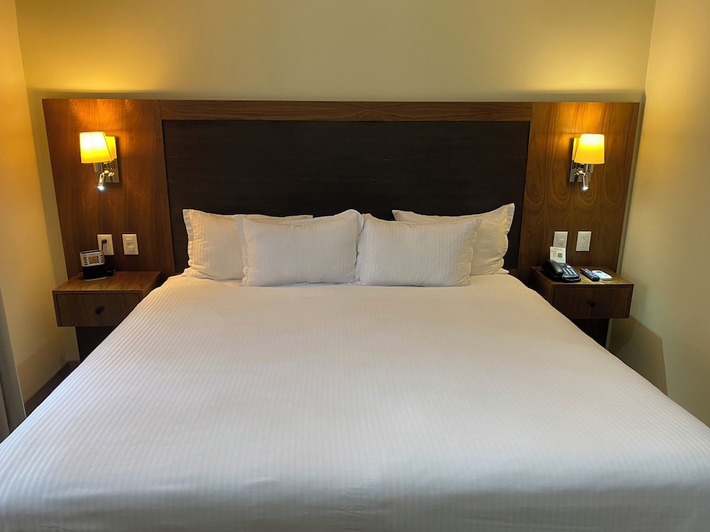 Suite, 1 King Bed