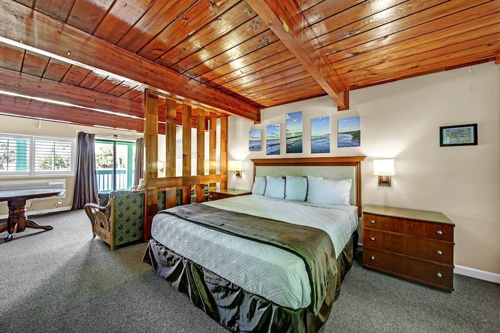 Family Single Room photo 1