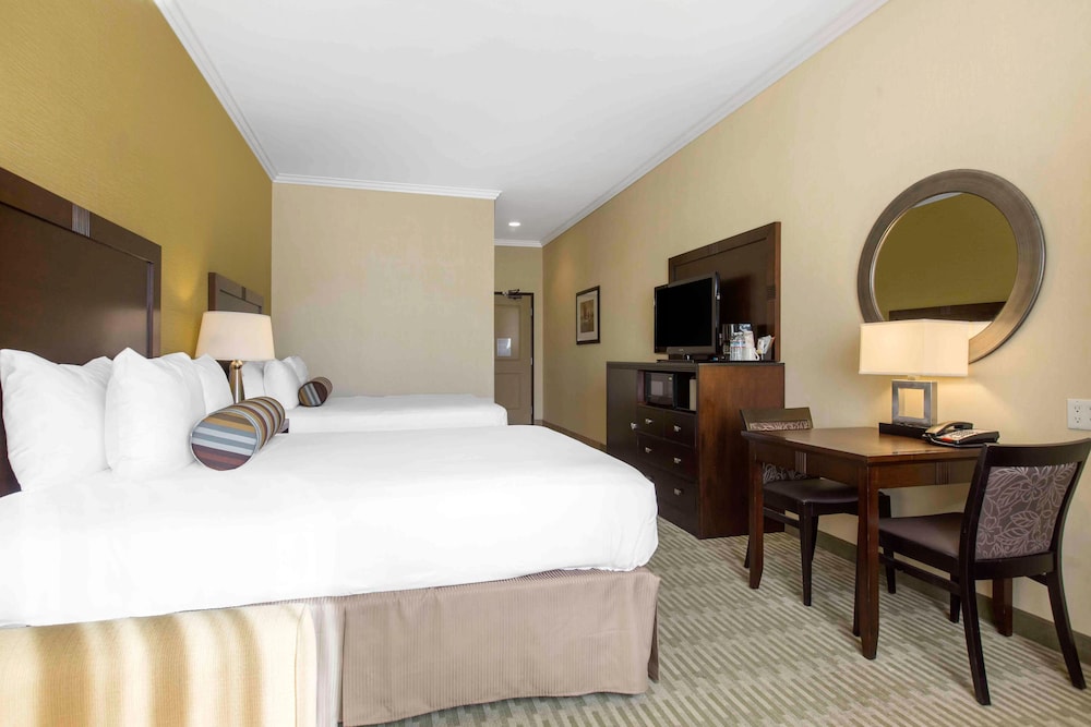 Standard Room, Multiple Beds, Non Smoking (Pet Friendly) photo 1