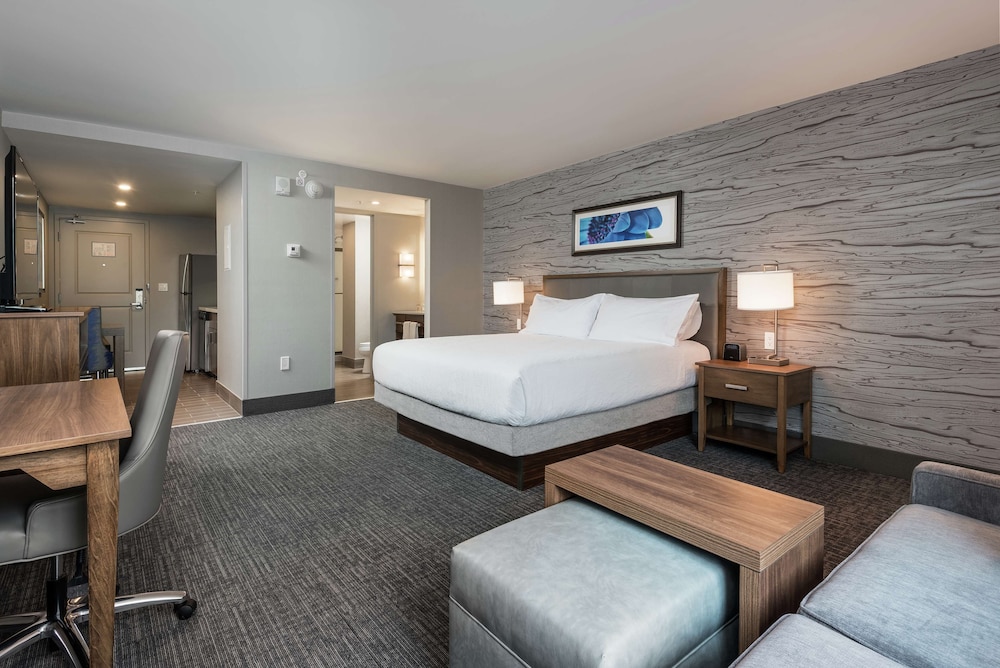 Studio Suite, 1 King Bed