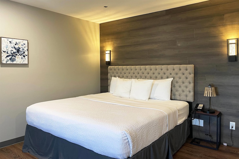 Deluxe Studio Suite, 1 King Bed, Non Smoking - Photo 1