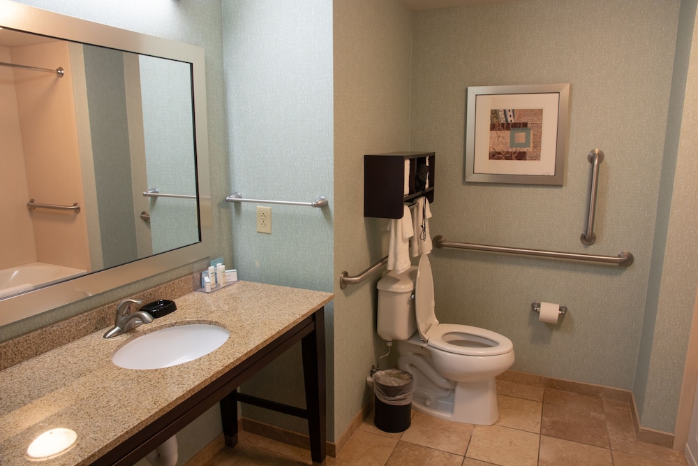 Room, 1 King Bed, Accessible photo 2