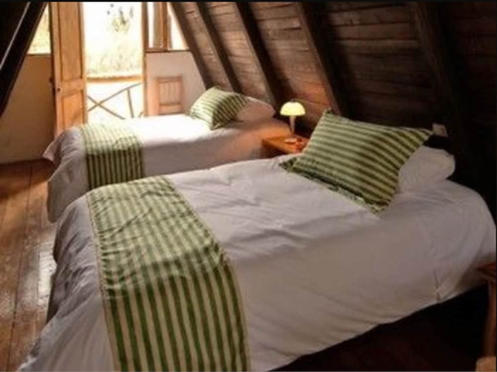 Family Cabin, Multiple Beds photo 1