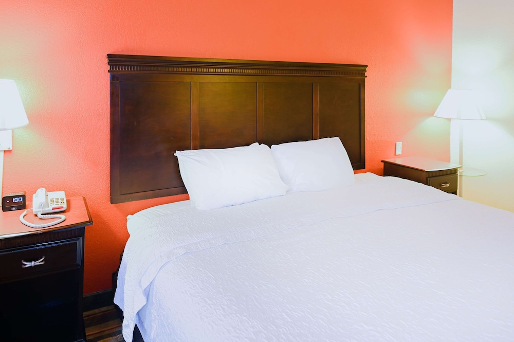 Classic Room, 1 King Bed, Accessible (Mobility Room - Roll In Shower) - Photo 3