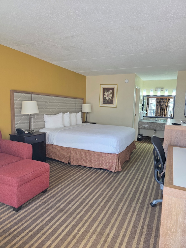 Single Room, 1 King Bed photo 1