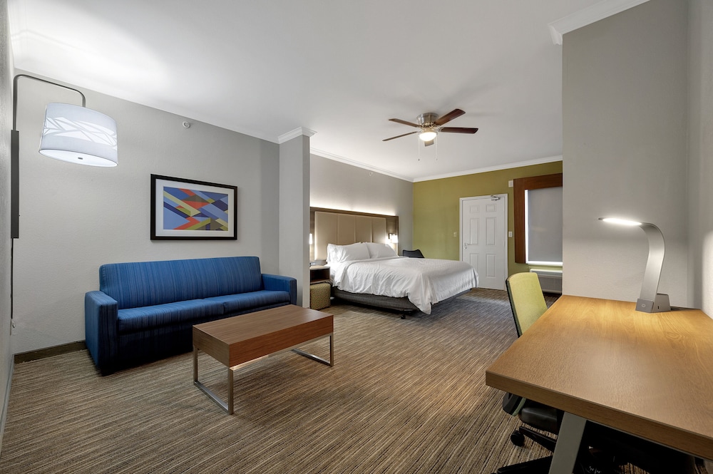 Suite, 1 King Bed with Sofa bed