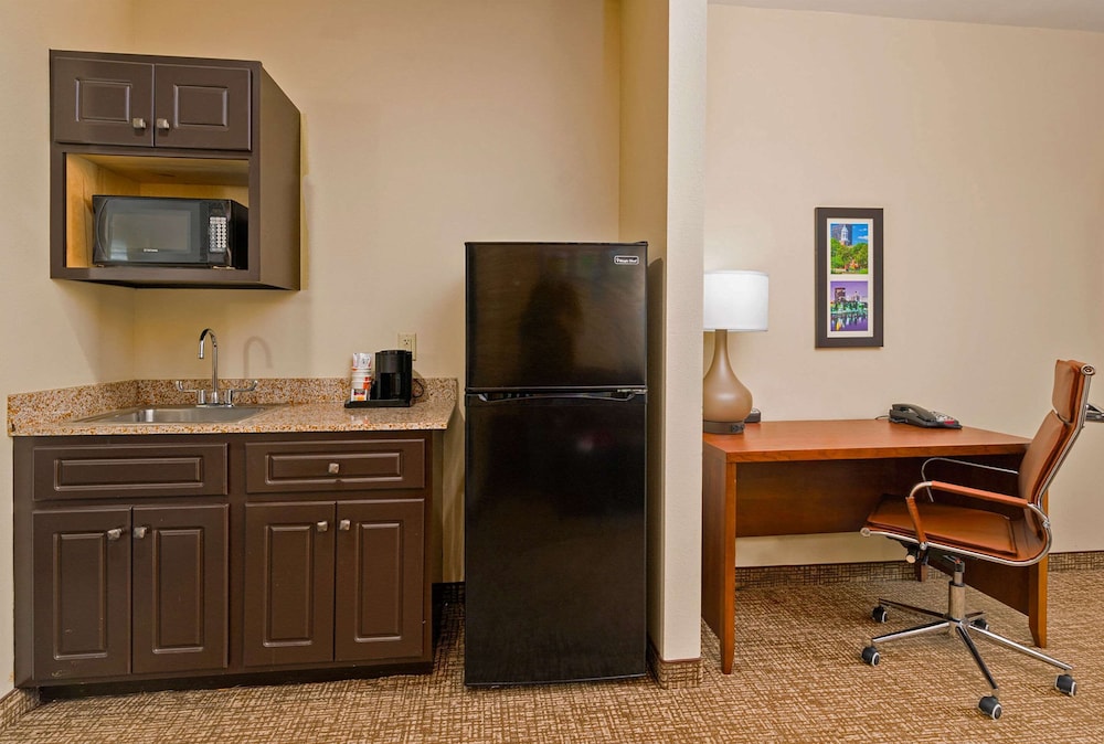 Room, 1 King Bed, Non Smoking, Refrigerator - Photo 7