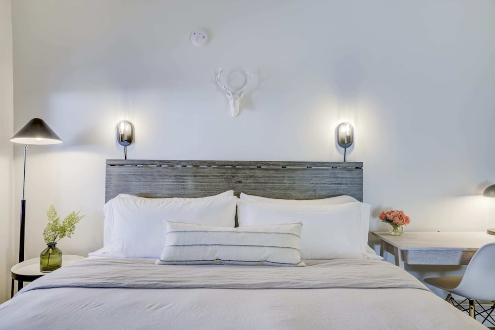 Luxury Apartment, 1 King Bed (Unit 2)
