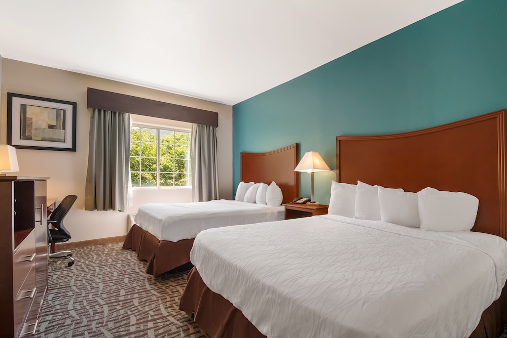 Standard Room, 2 Queen Beds, Non Smoking, Refrigerator & Microwave (Larger Room) - Photo 3
