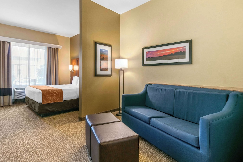 Suite, 1 King Bed with Sofa bed, Accessible, Non Smoking photo 2