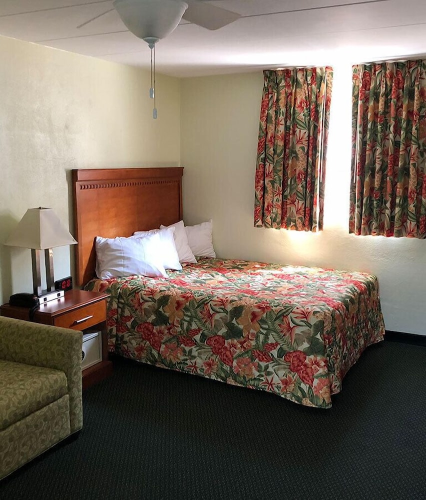 Basic Single Room, 1 Large Twin Bed photo 3