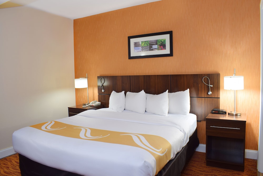 Room, 1 King Bed, Non Smoking (Upgrade) photo 1