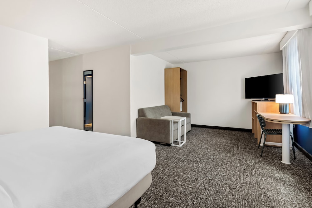 Room, 1 King Bed with Sofa bed, Accessible, Bathtub (Mobility) photo 3