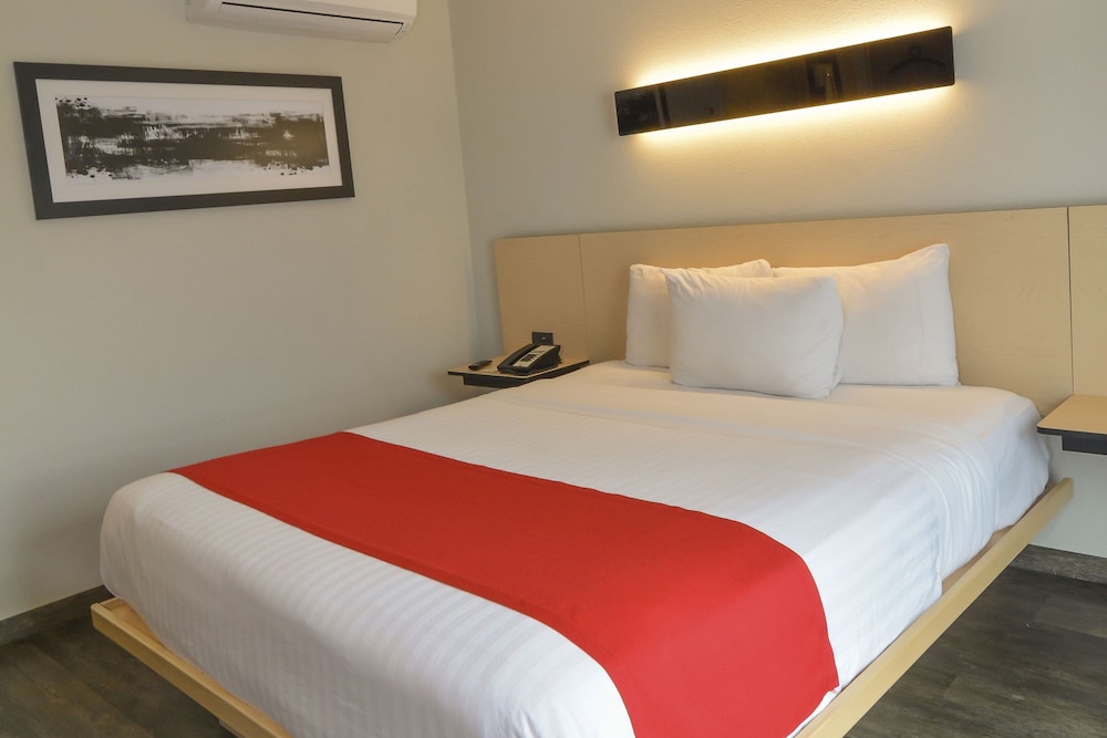 Room, 1 Queen Bed photo 1