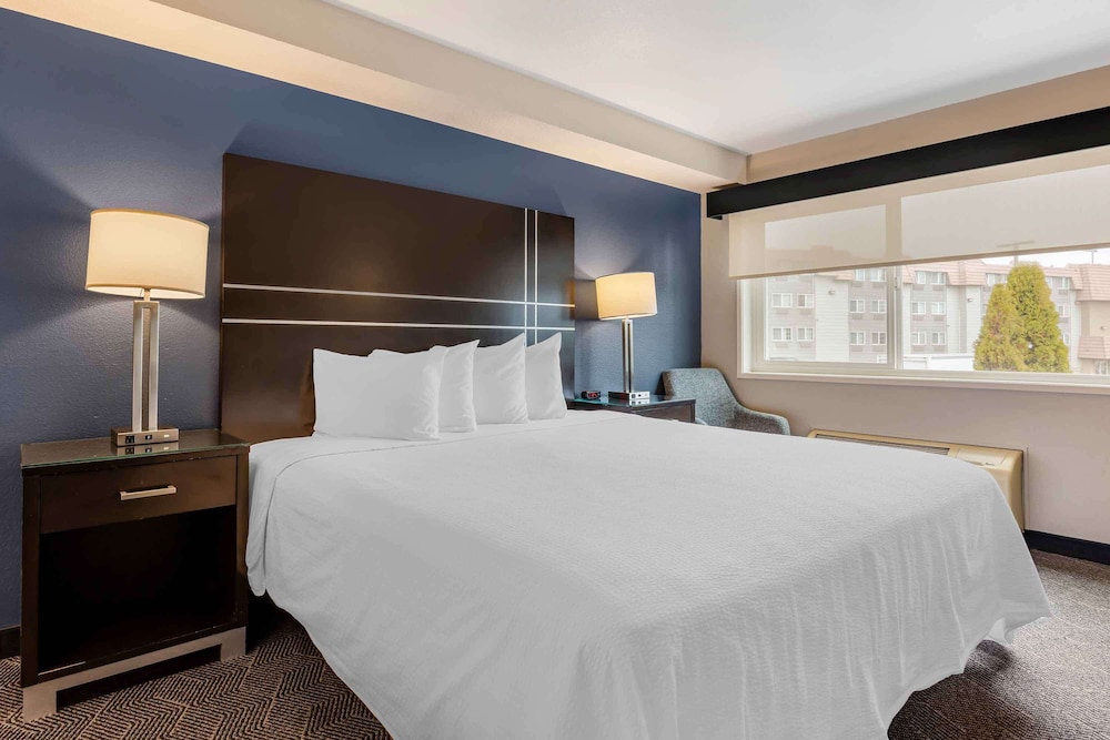 Standard Studio, 1 Queen Bed, Roll-in Shower, Non Smoking