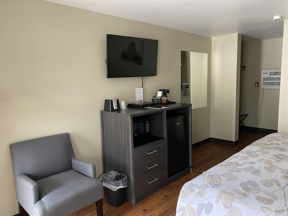 Standard Single Room, 1 King Bed photo 2