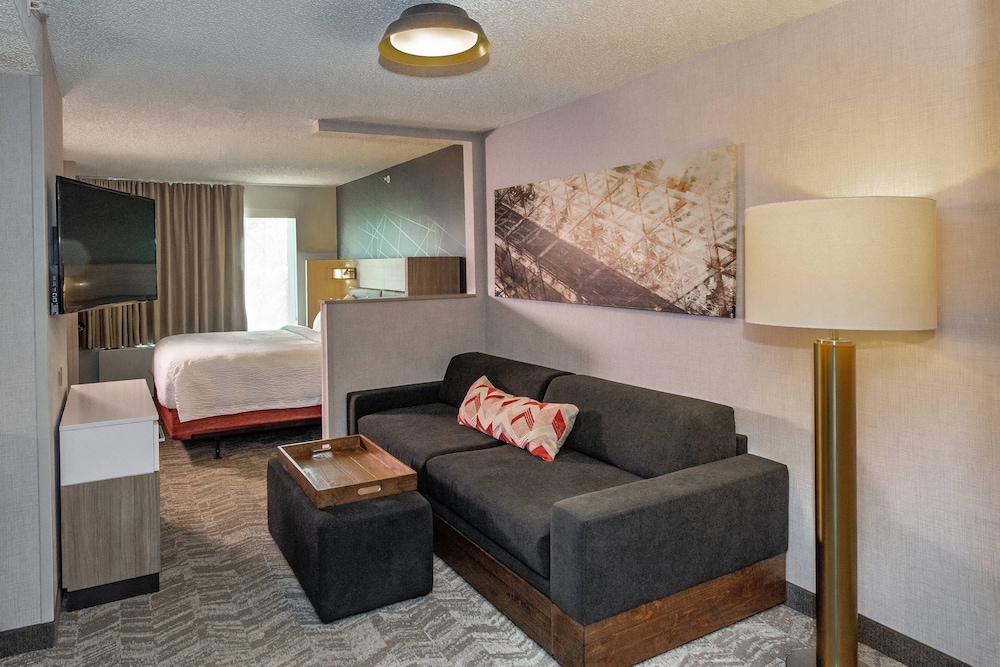 Suite, Multiple Beds (Hearing Accessible) - Photo 4
