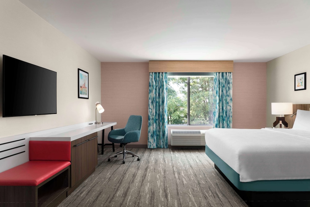 Room, 1 King Bed with Sofa bed