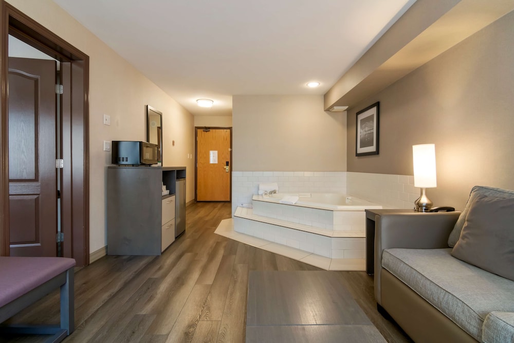 Standard Room, 1 King Bed, Non Smoking, Jetted Tub - Photo 2