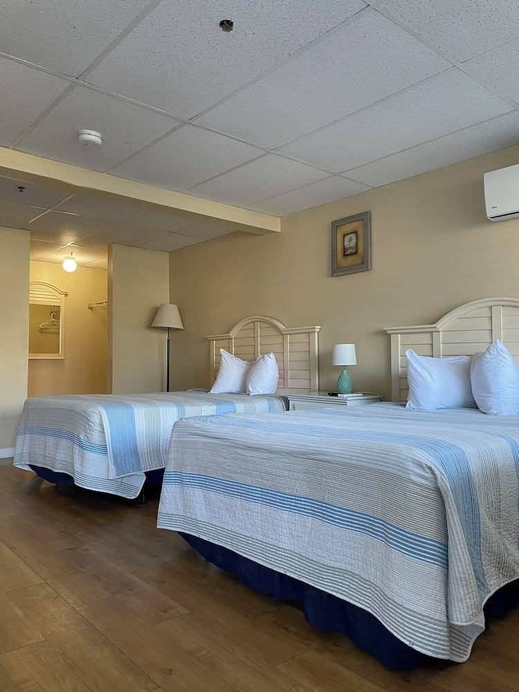 Standard Room, Kitchenette photo 2