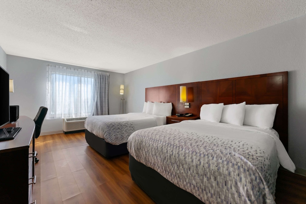 Standard Room, 2 Double Beds, Non Smoking photo 1