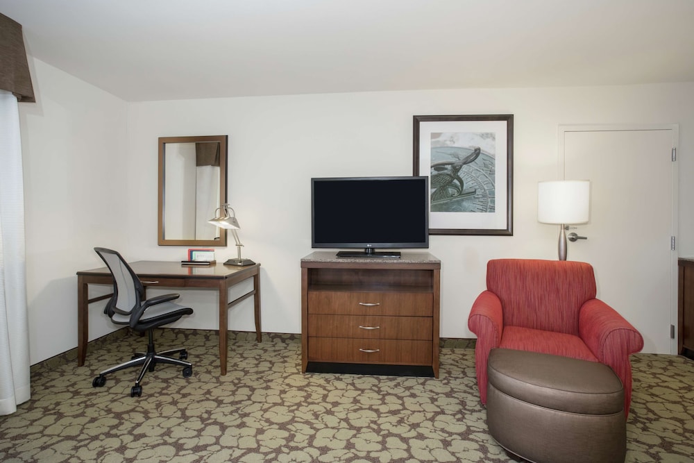 Room, 1 King Bed, Accessible