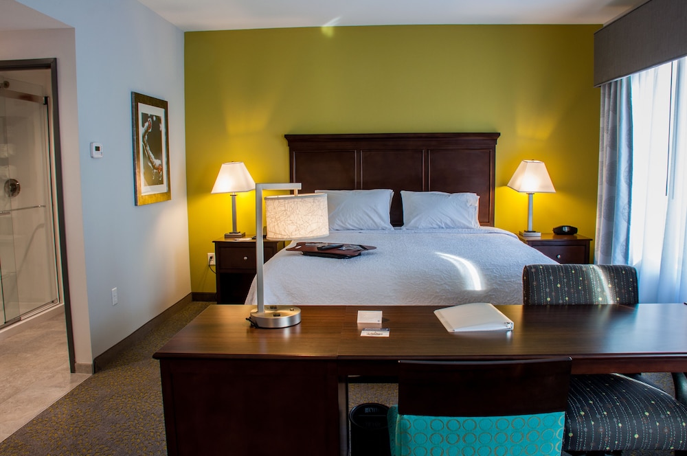 Studio, 1 King Bed, Accessible (Mobility & Hearing, Roll-In Shower) photo 3