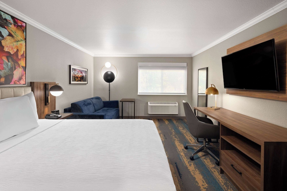 Deluxe Room, 1 Queen Bed, Non Smoking (Efficiency) - Photo 1