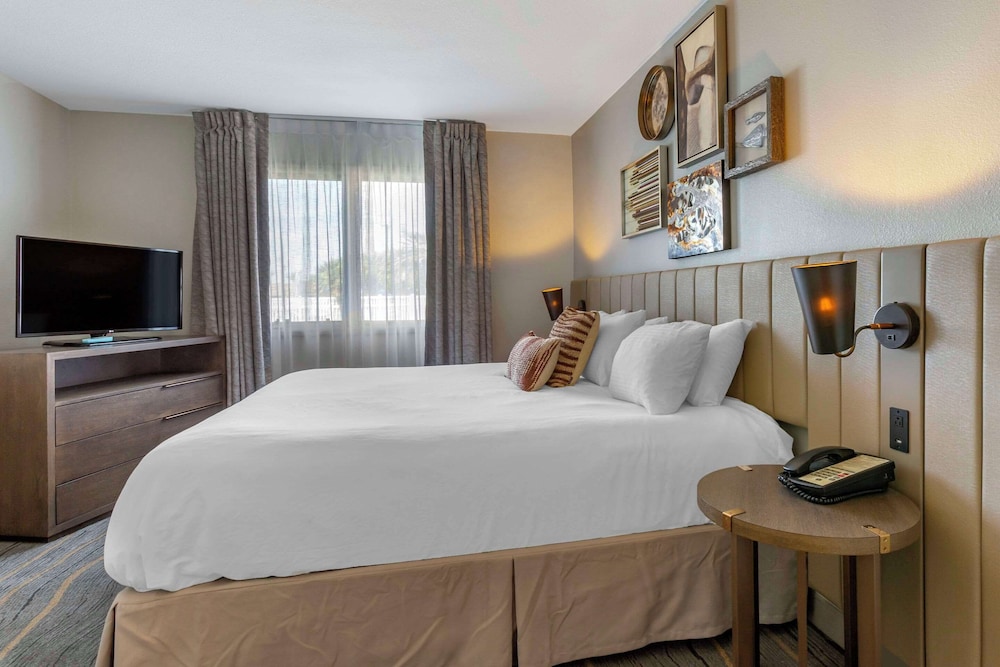 Suite, 1 King Bed, Sofa, Non Smoking - Photo 1
