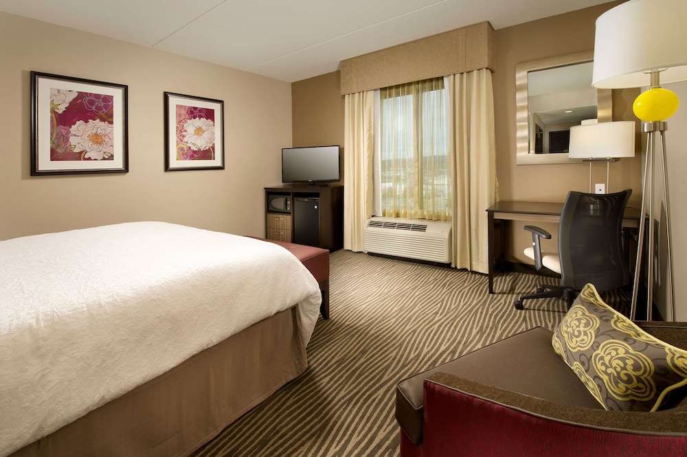 Room, 1 King Bed photo 3