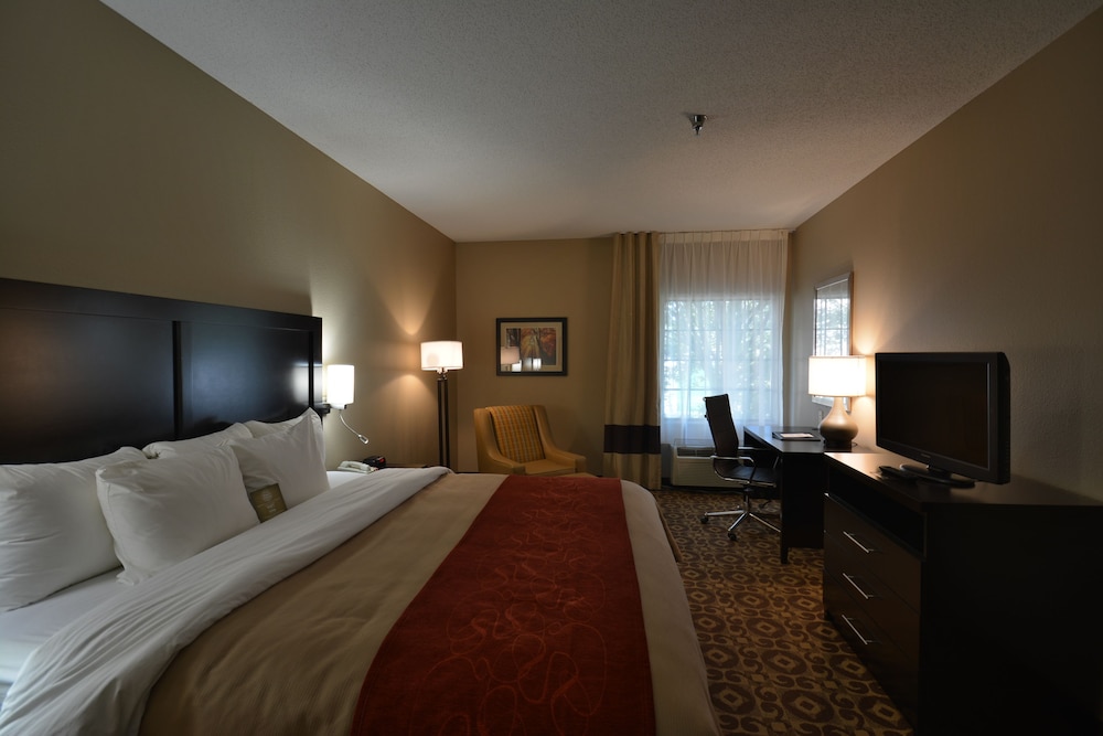 Standard Room, 1 King Bed, Non Smoking - Photo 4