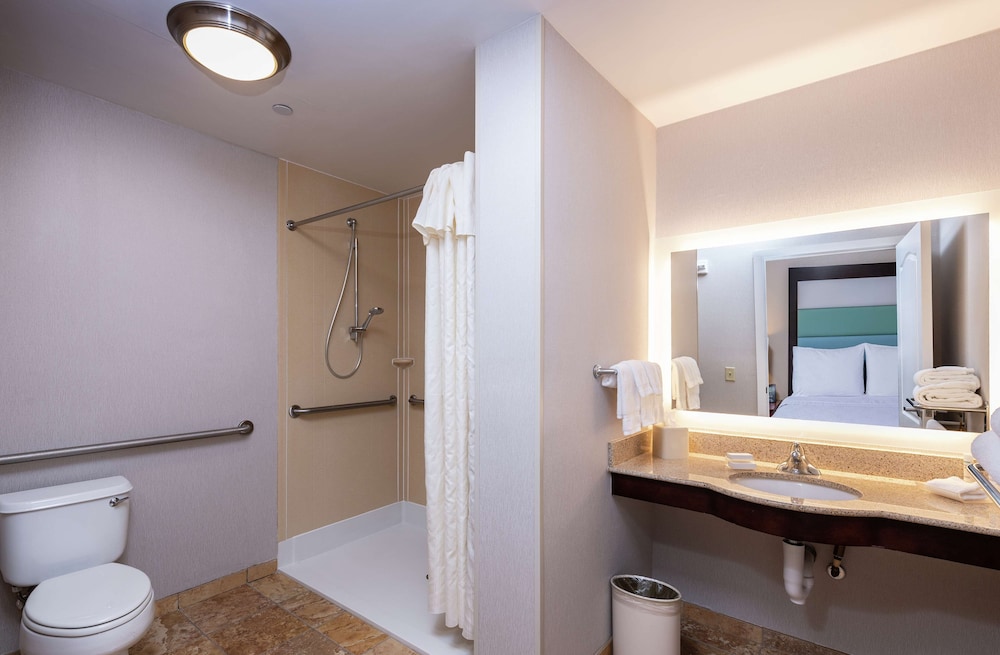 Suite, Accessible (Roll-in Shower) - Photo 5