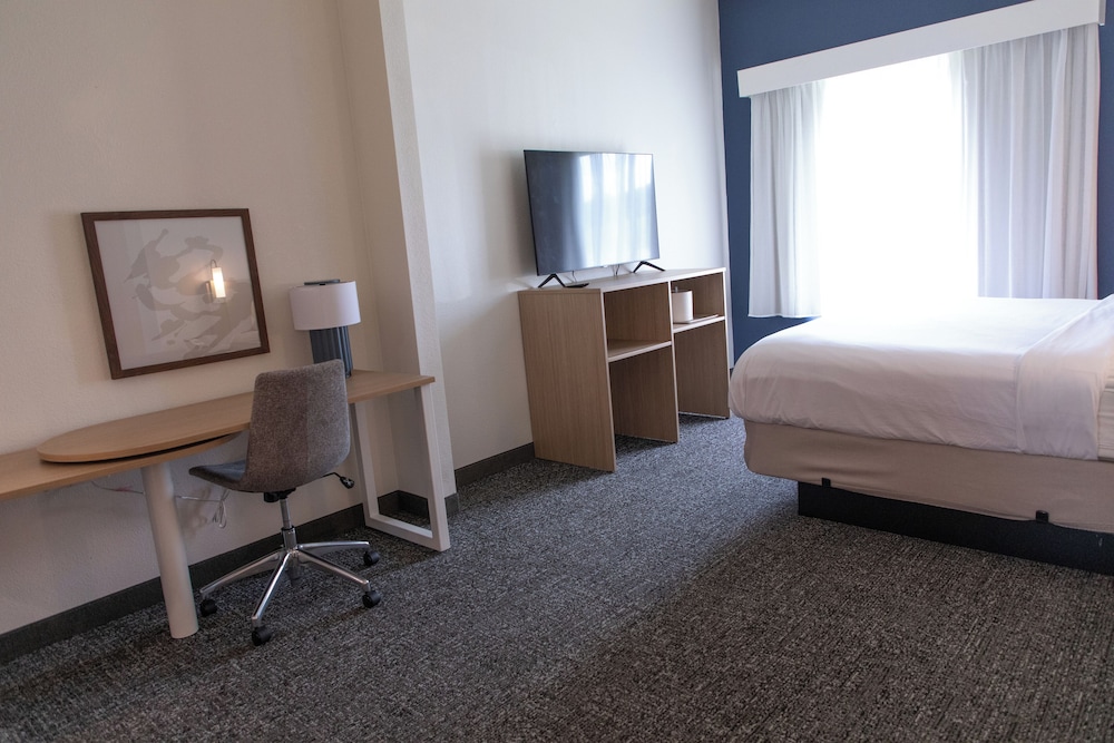 Room, 1 King Bed, Accessible (Mobility & Hearing, Roll-in Shower) - Photo 4