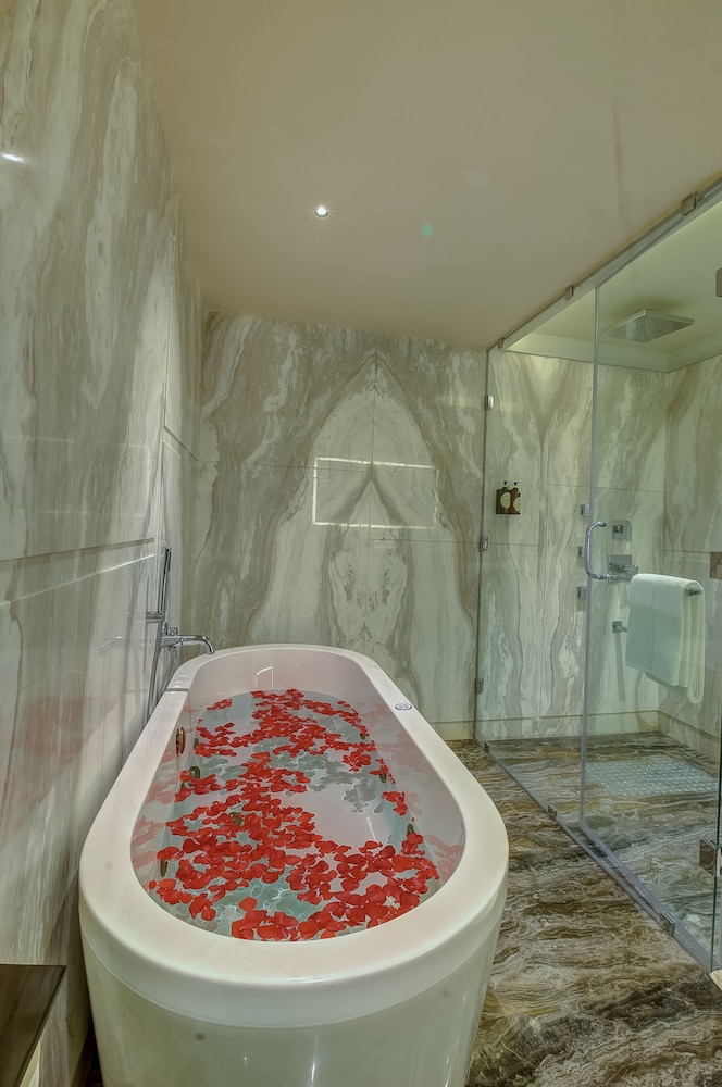 Premium Suite - Photo 14