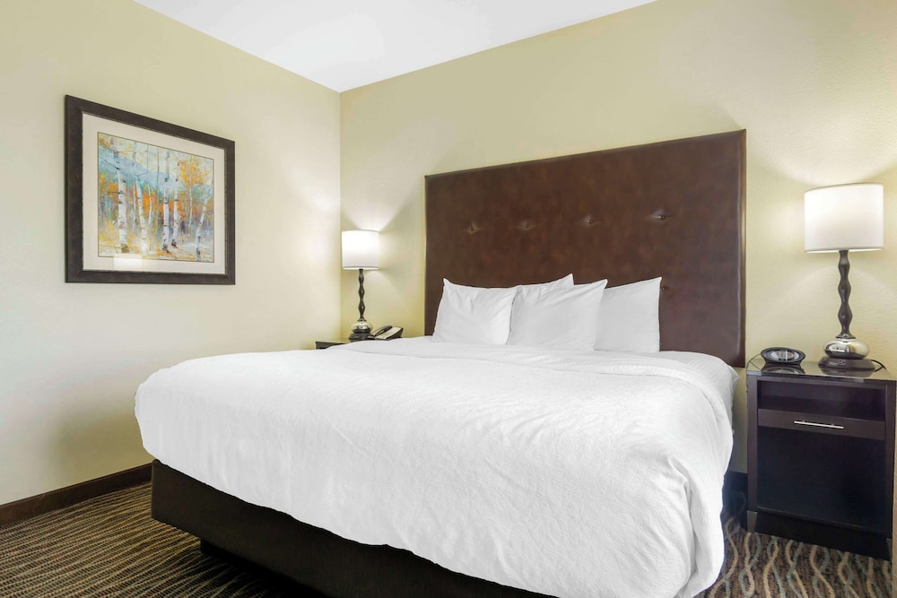 Suite, 1 King Bed, Non Smoking, Microwave