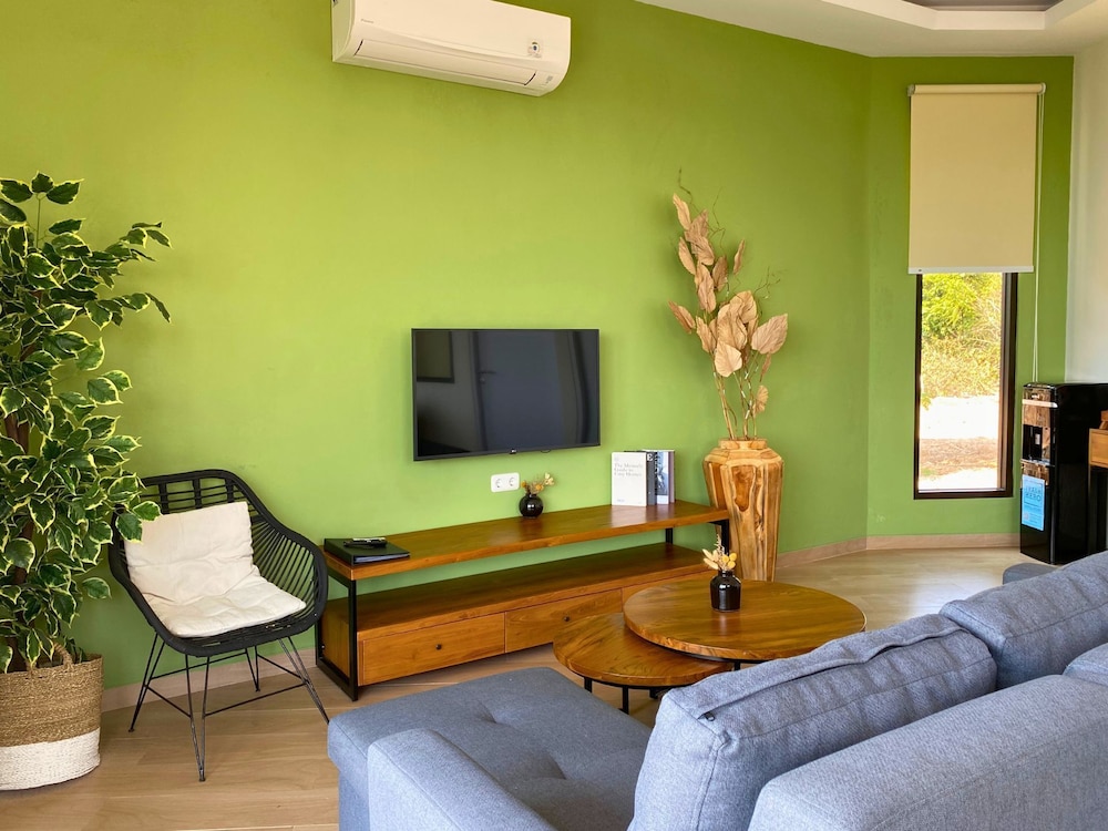 Executive Villa photo 2