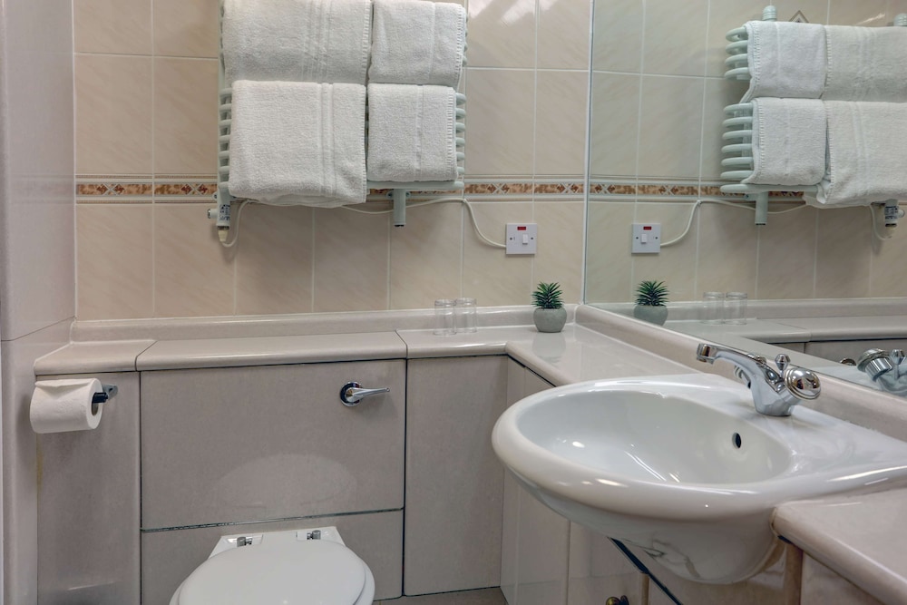 Standard Room, 1 King Bed, Accessible, Non Smoking photo 3