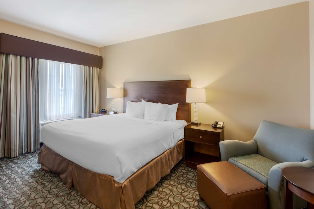 Standard Room, 1 King Bed, Non Smoking, Refrigerator & Microwave (Pet Friendly)