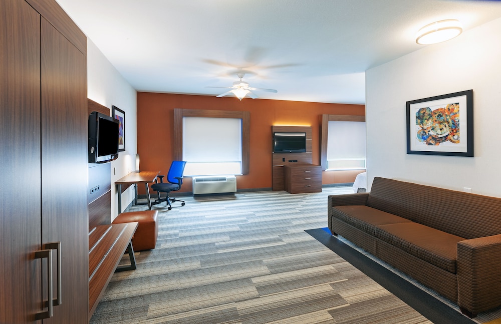 Suite, 1 King Bed, Accessible (Mobility, Roll-In Shower) photo 3