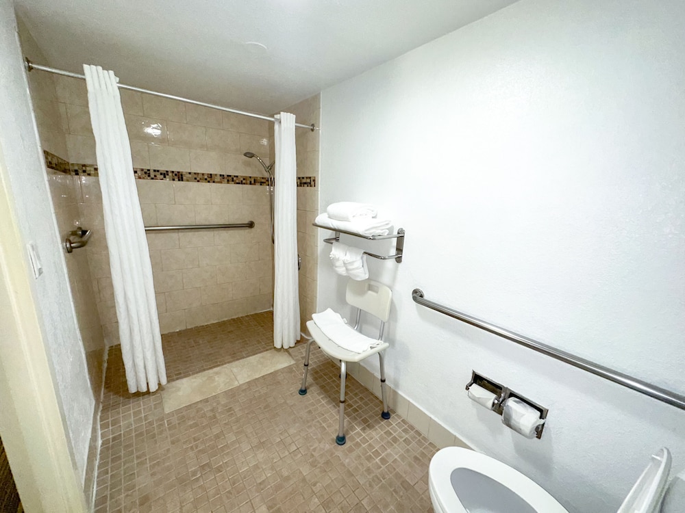 Room, 1 King Bed, Accessible photo 3