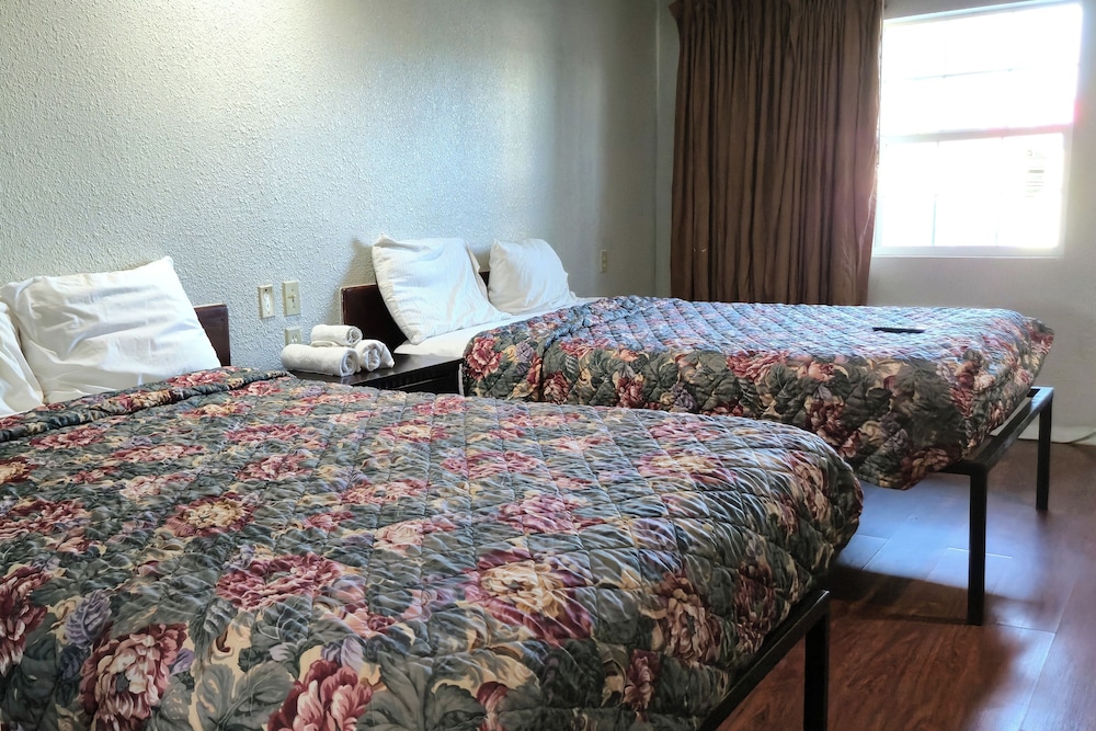 Room, 1 King Bed, Non Smoking photo 3