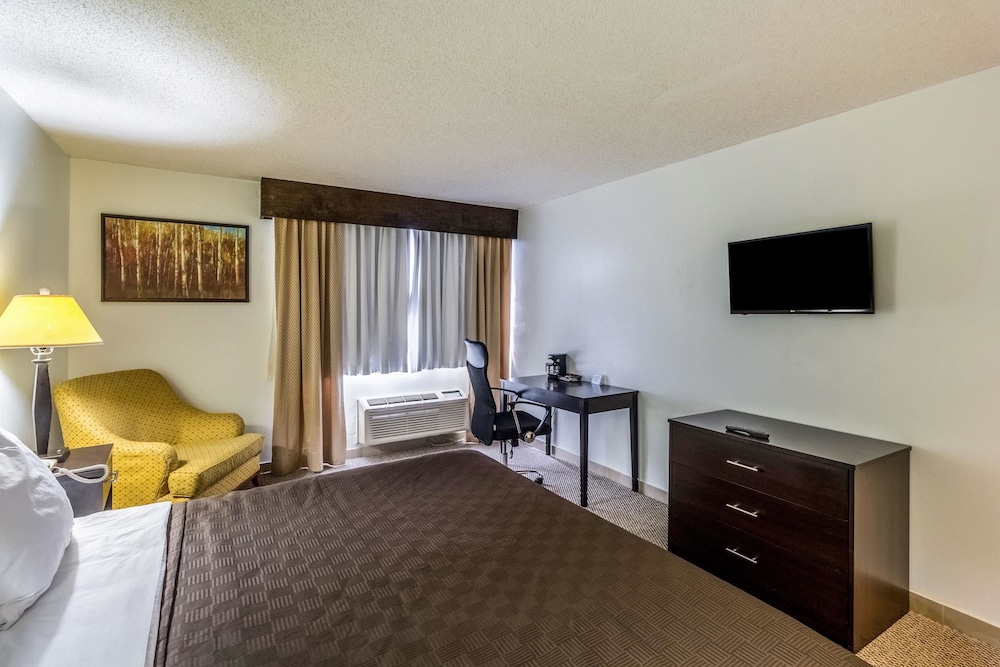 Standard Room, 1 King Bed, Non Smoking - Photo 4