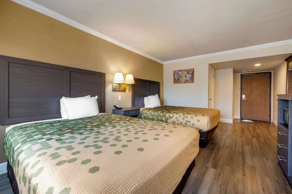 Standard Room, 2 Queen Beds, Non Smoking - Photo 7